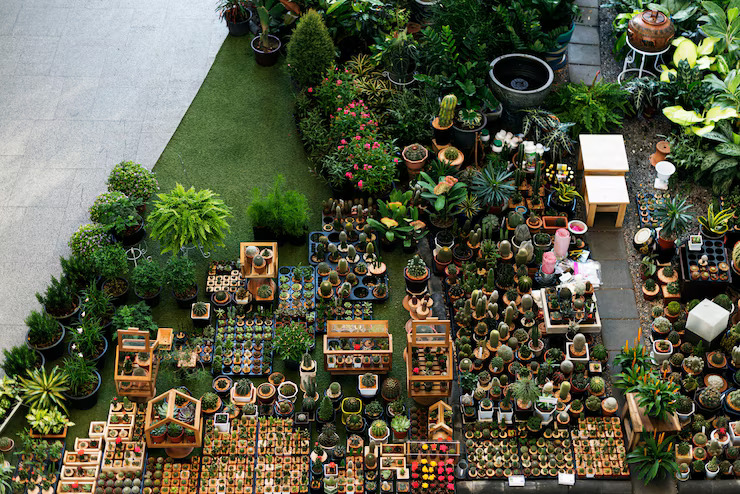 Sustainable and Aesthetic Landscape Planning Solutions